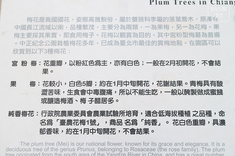 Banbi217 美食旅遊: 台北也能賞梅花 中正紀念堂,文末附周邊美食(捷運信義線中正紀念堂站)