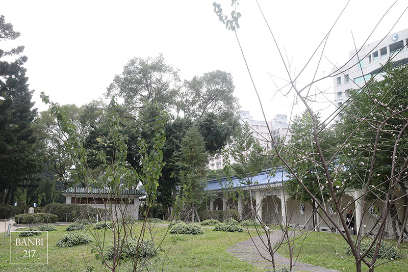 Banbi217 美食旅遊: 台北也能賞梅花 中正紀念堂,文末附周邊美食(捷運信義線中正紀念堂站)