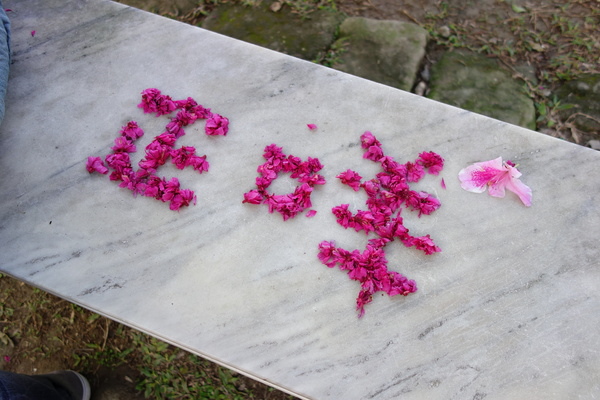 中正紀念堂:中正紀念堂 台北賞櫻好去處