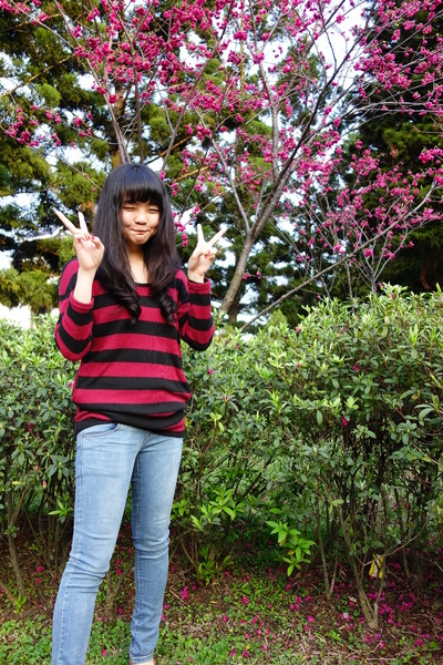 中正紀念堂:中正紀念堂 台北賞櫻好去處