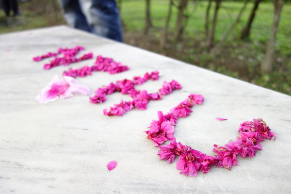 中正紀念堂:中正紀念堂 台北賞櫻好去處