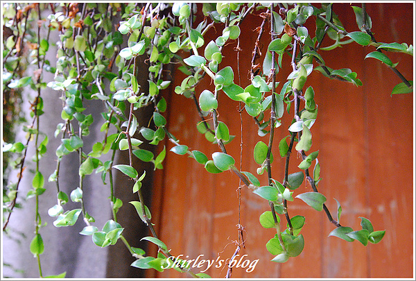 無老鍋(台北新生店):台北‧無老鍋新生店