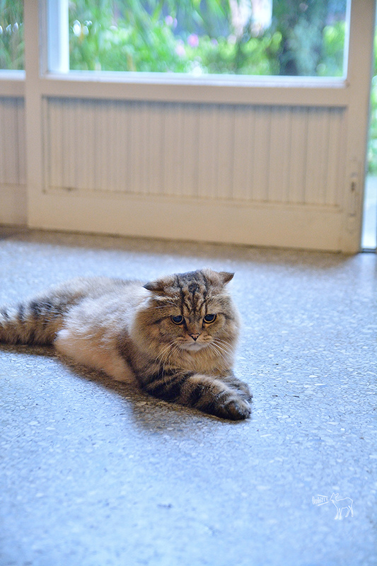 TPE_0538.jpg