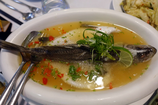 晶湯匙泰式主題餐廳(台北京站店)：(胖樺食記)台北車站京站內道地泰式料理「晶湯匙」，兼顧台灣人口味且氣氛佳服務好，適合多人聚餐