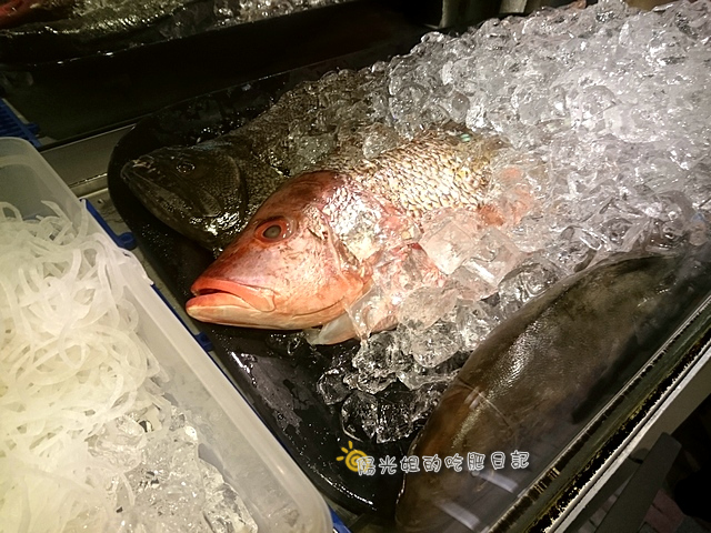 fish_02.JPG - 漁藏