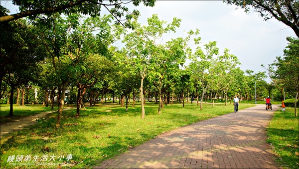 大安森林公園：【台北市/大安】讓孩子消耗多餘的體力♪♪大安森林公園♪♪