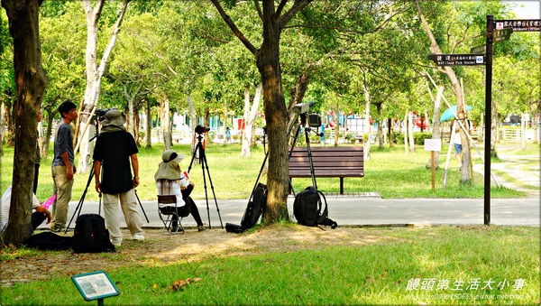大安森林公園：【台北市/大安】讓孩子消耗多餘的體力♪♪大安森林公園♪♪