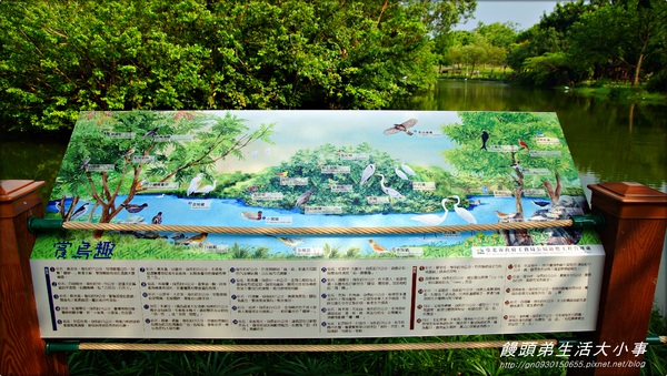 大安森林公園：【台北市/大安】讓孩子消耗多餘的體力♪♪大安森林公園♪♪