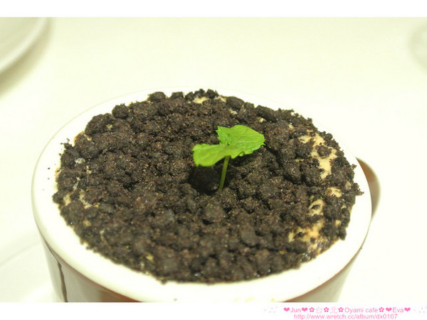 Oyami cafe:【食記】oO。。台北 西門町 Oyami cafe 超有鄉村田野風格的餐廳!而且~焗烤飯牽絲牽的好魂牽夢縈!!。o○。