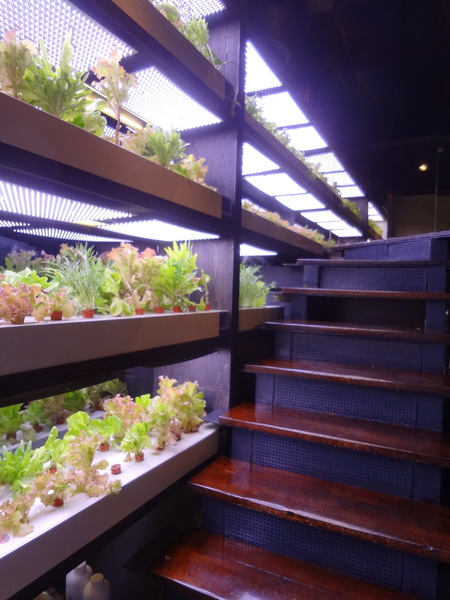 天鼎鍋の店(天母店):~ 口碑券體驗 ~ 天鼎塔吉蒸煮鍋專門店(天母店)