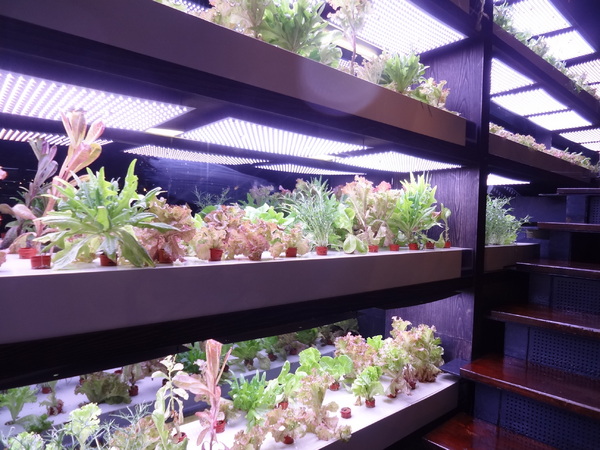 天鼎鍋の店(天母店):~ 口碑券體驗 ~ 天鼎塔吉蒸煮鍋專門店(天母店)