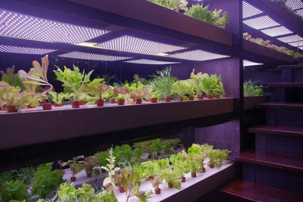 天鼎鍋の店(天母店):((口碑卷第三案))天鼎塔吉蒸煮鍋專門店(天母店)~悠閒的吃到飽