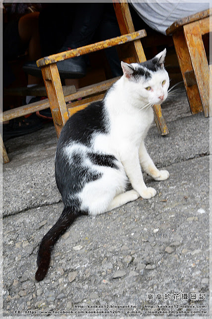 阿良鐵支路便當：【嘉義】竹崎鄉。奮起湖 阿良鐵支路便當 ＆ 臺灣肖楠母樹林