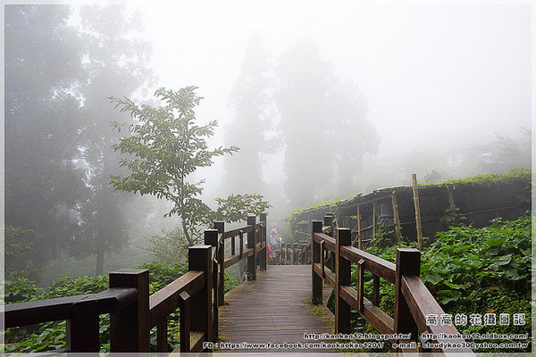 阿良鐵支路便當：【嘉義】竹崎鄉。奮起湖 阿良鐵支路便當 ＆ 臺灣肖楠母樹林