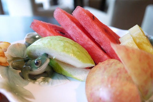 Franz&Friends法藍瓷音樂餐廳：閒情享受法藍瓷貴婦下午茶～美食、美瓷、美樂！