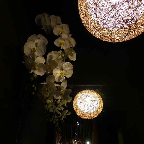 泰板燒Thaipanyaki：泰板燒Thaipanyaki