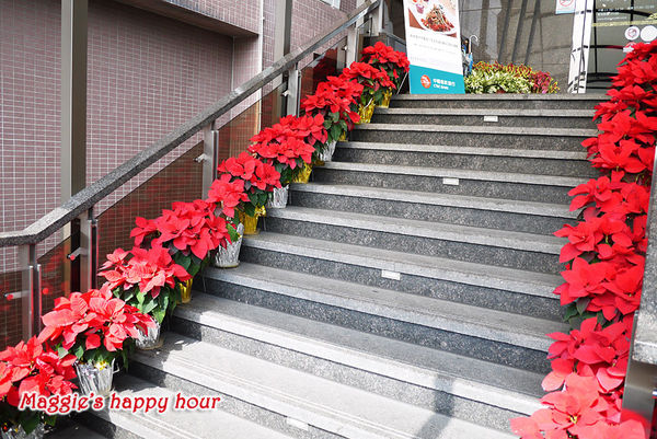 泰板燒Thaipanyaki:捷運大安森林公園站【泰板燒Thaipanyaki】精緻全新菜色。滿足饕客味蕾