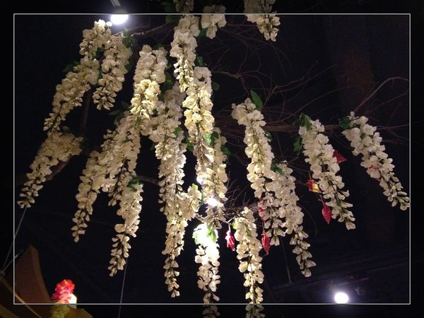 泰板燒Thaipanyaki：泰式風情、異國鐵板料理【泰板燒Thaipanyaki】雙人免費體驗！