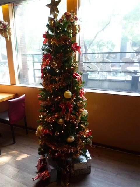 is pasta義大利麵:新埔站的平價美味-板橋is pasta義大利麵