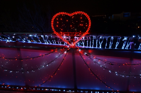 2015臺北燈節：[捷運圓山站]2015台北燈會~浪漫水晶燈橋、天壇、英熊聯盟、海賊羊