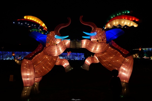 2015臺北燈節：[捷運圓山站]2015台北燈會~浪漫水晶燈橋、天壇、英熊聯盟、海賊羊