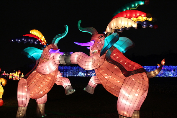 2015臺北燈節:2015臺北燈節/金喜羊/元宵燈會花博公園圓山園區