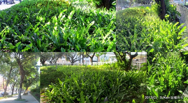 cm20131020___655beaa7a07aa37895eece0c562