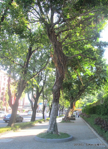 cm20131020___104a89fe2cd200a0e156279f025