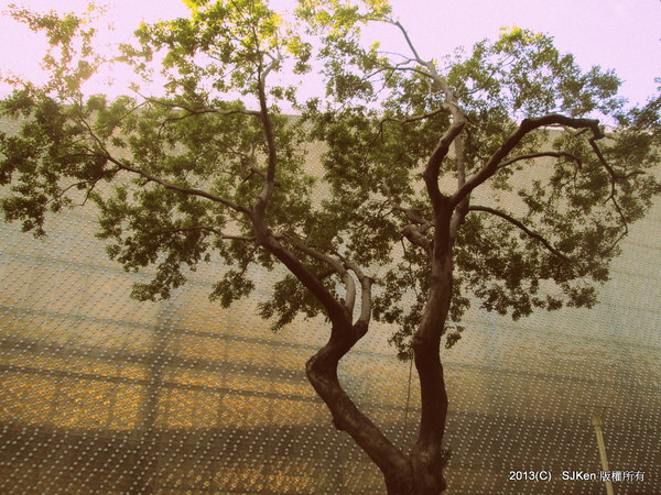 cm20131020___d7d949a86fc66b93f997dc34e4e