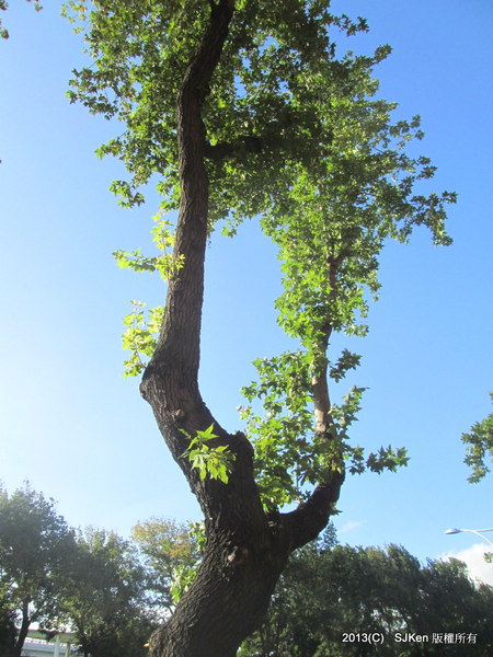 cm20131020___1a7737427b69f1fe28582f81371