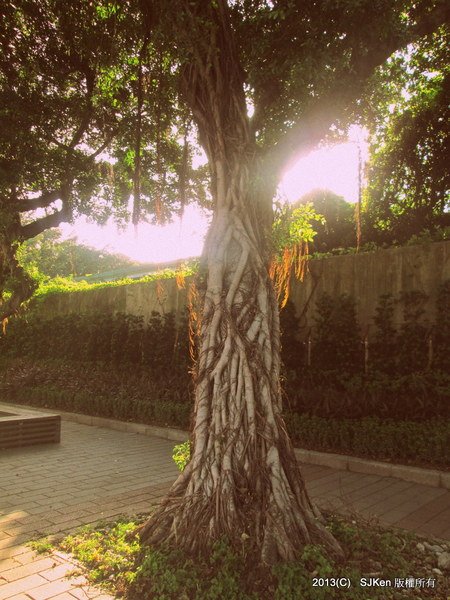 cm20131020___d7d584c92c3fb5e08c1f0bf4250