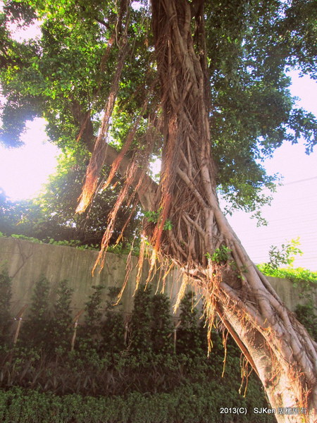 cm20131020___0d3289d2f0e1ea25f8a08a9c675