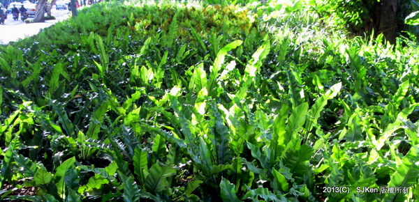 cm20131020___d84ba47304375dc260ab6285dff