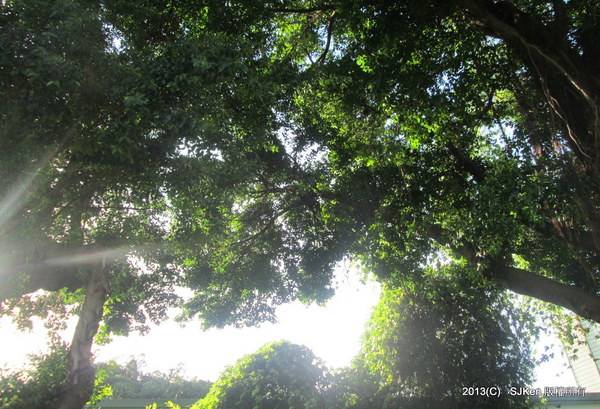 cm20131020___9590640075df5ad373b7a3f9961