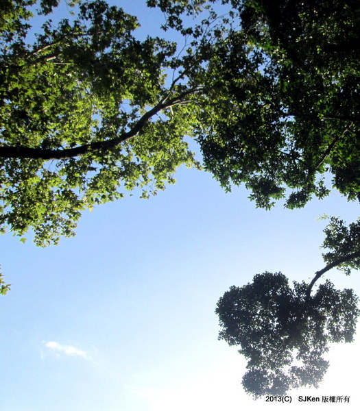 cm20131020___a8c339cba4a077a2b6902893c31