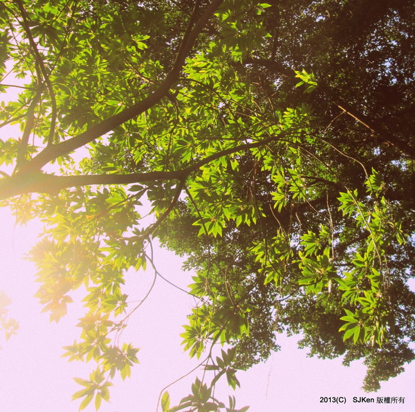 cm20131020___7d6a692964cc70a4c479664770a