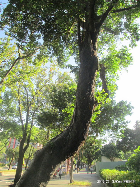 cm20131020___7eb831f7146c44743db8ac20872