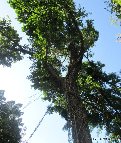 cm20131020___6c3347fc7bfa32a04ad12e52ad9