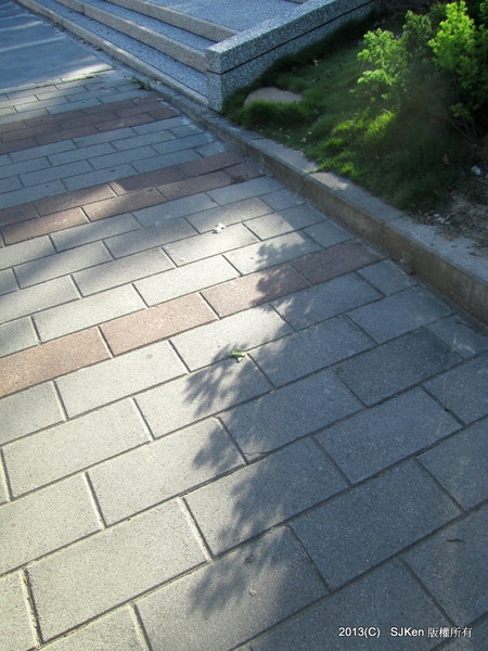 cm20131020___073f407777cbe6da49a63b324a1