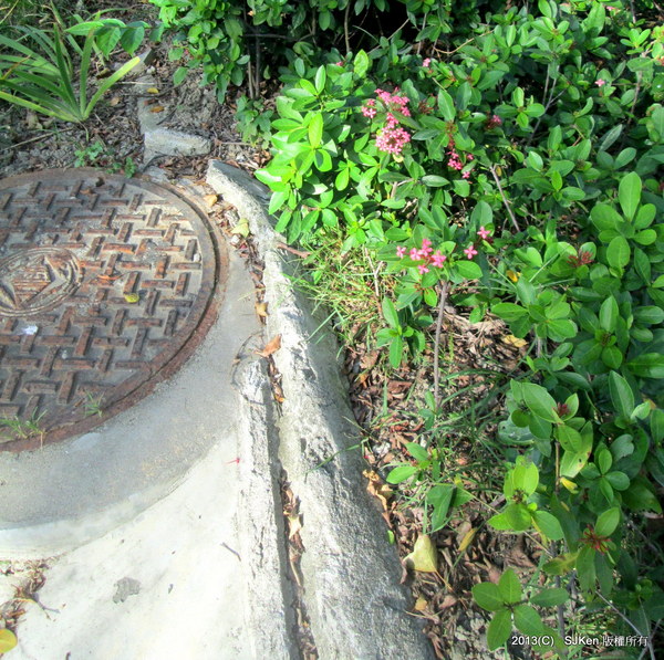 cm20131020___1db2d29858f35487ace7b8cd81a