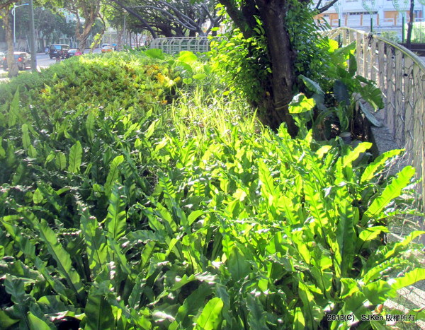 cm20131020___3c8b65e07deb2065dfc7f6689a5