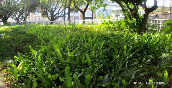 cm20131020___34b7704cf8efb3bb99ff41272b9