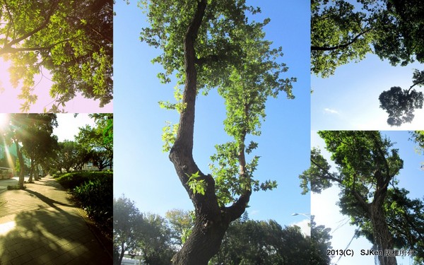 cm20131020___f740a7b8887a33a0f732d257ee9