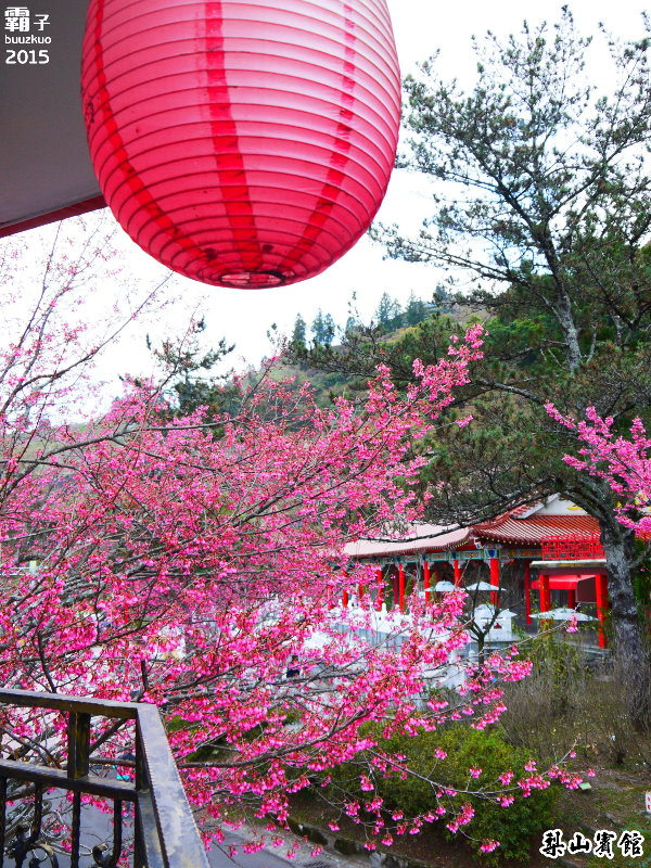 梨山賓館:梨山賓館,台灣三大宮殿式旅館之一,漫步櫻花步道。