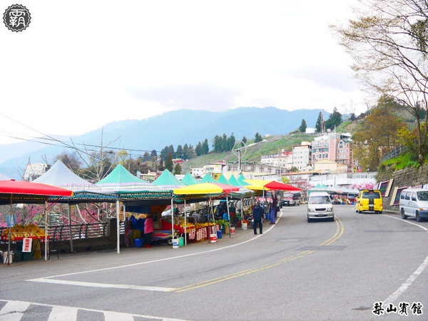 梨山賓館:梨山賓館,台灣三大宮殿式旅館之一,漫步櫻花步道。