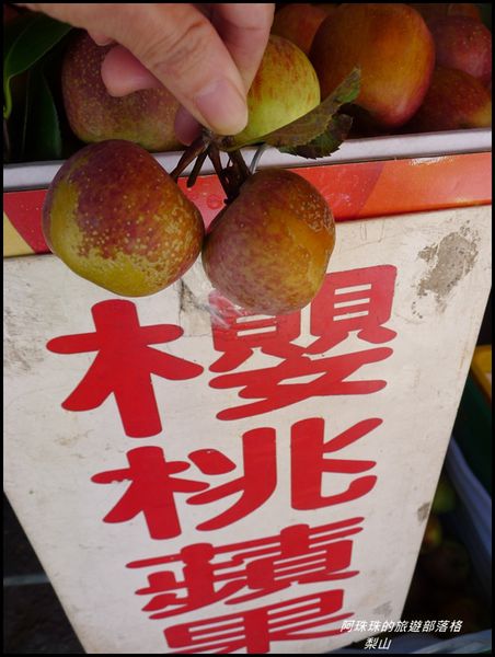 梨山20.JPG