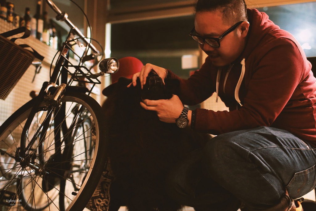 黑松的告別日記