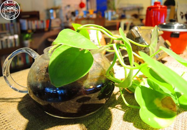 hi,日楞RYOU CAFE：呷飽祙【台北大安･hi，日楞咖啡 Ryou Cafe】一起去愛這片土地吧