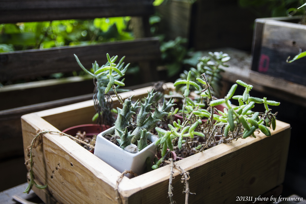 未命名 (69 - 76).JPG