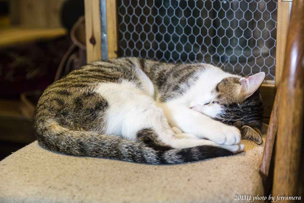 未命名 (75 - 76).JPG